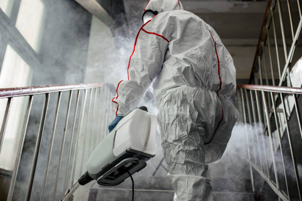 Mold Remediation for Vacation Homes in Tallassee, AL